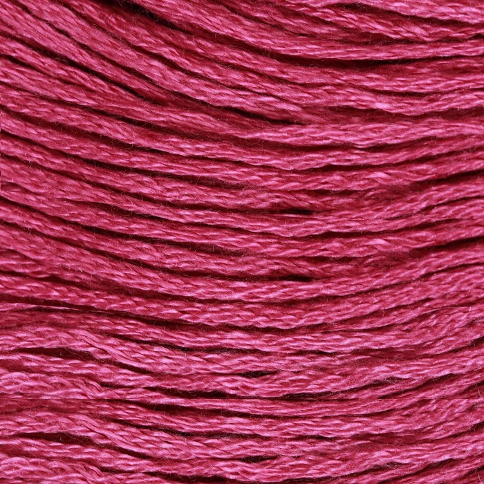 Нитки мулине, 8 ± 1 м, цвет розово-малиновый №3607
