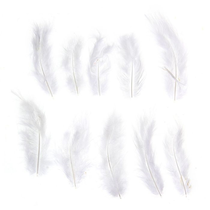 Набор перьев для декора 5 шт., размер 1 шт: 10 × 2 см, цвет белый