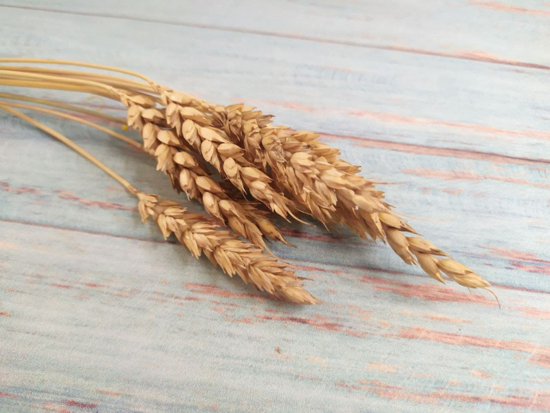 Пшеница натуральная, 25см, 10шт.