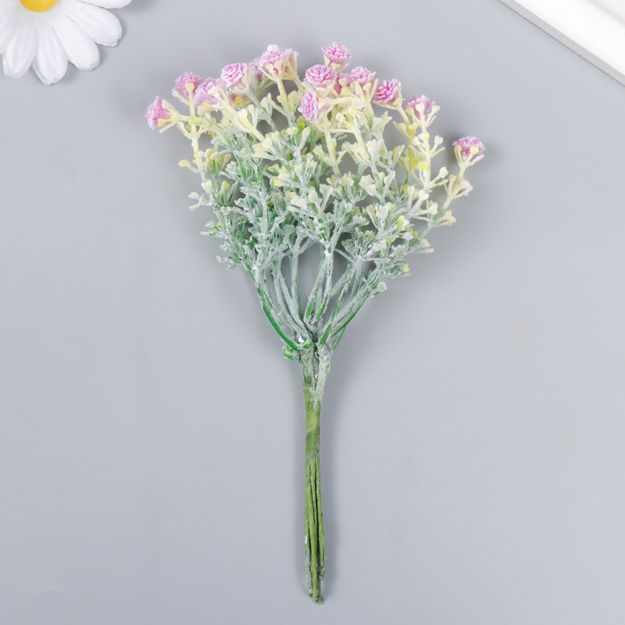 Цветы для декорирования "Гвоздика Шабо" бордо 1 букет=6 головок 17 см